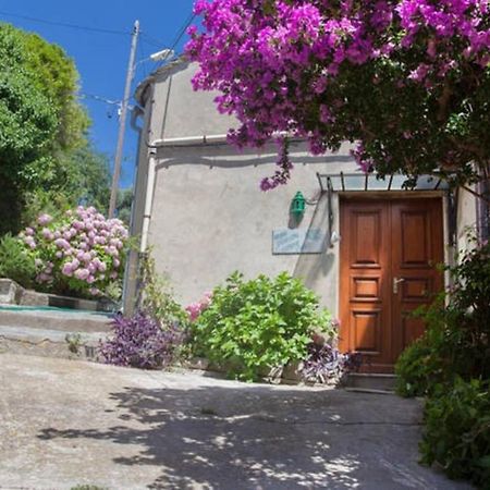 Cagnano Maison Simonpietri المظهر الخارجي الصورة