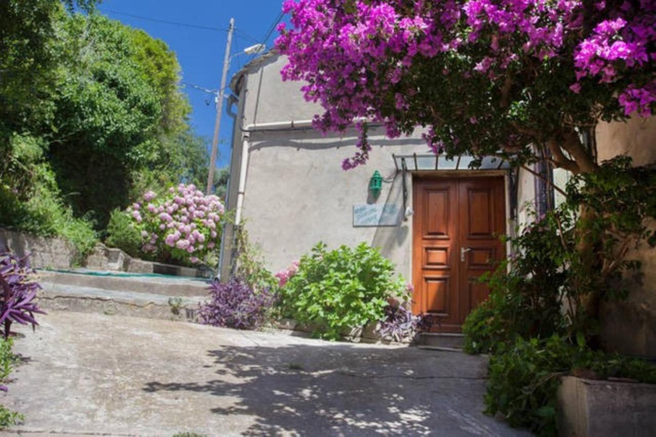 Cagnano Maison Simonpietri المظهر الخارجي الصورة